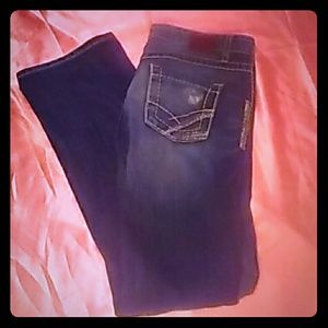 EUC BKE Tenley Stretch Jeans